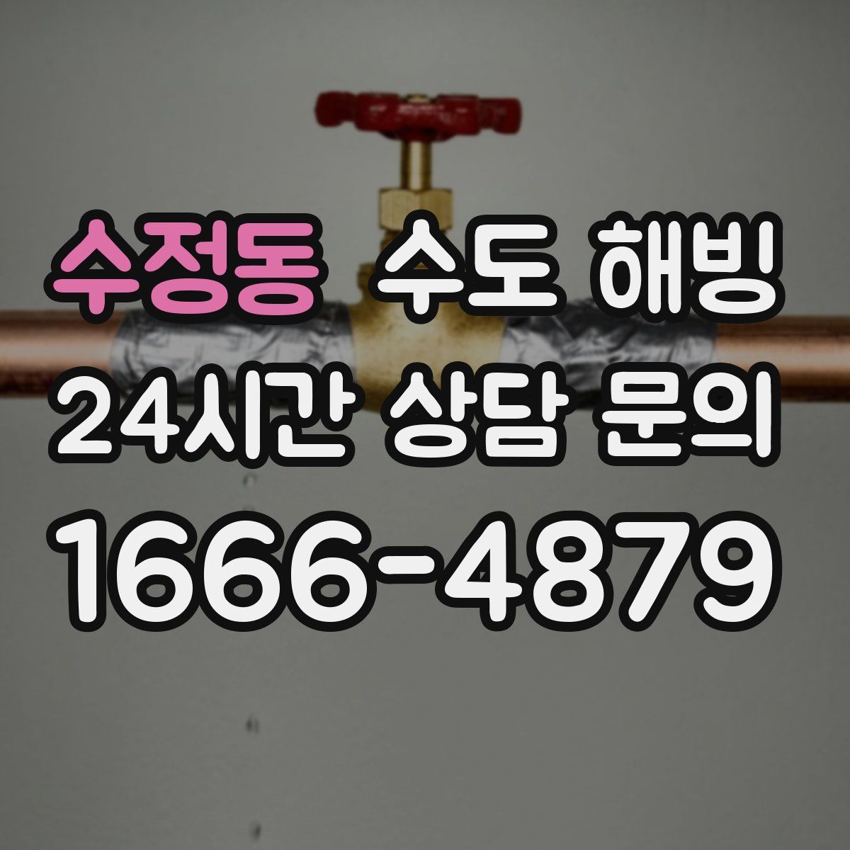 수정동 수도 해빙