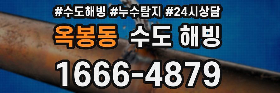 옥봉동 수도 해빙