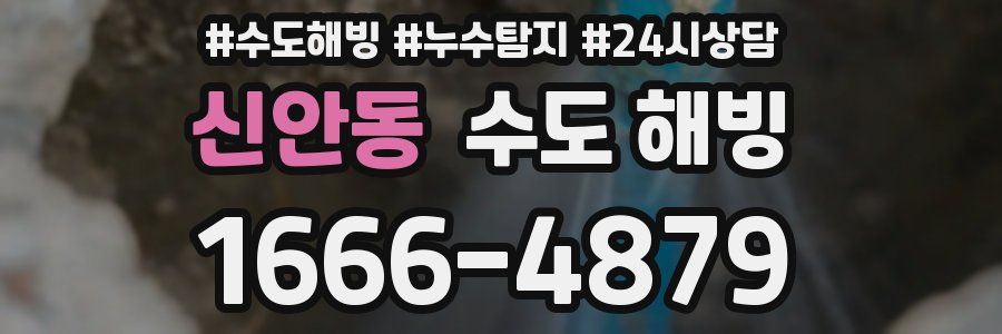 신안동 수도 해빙