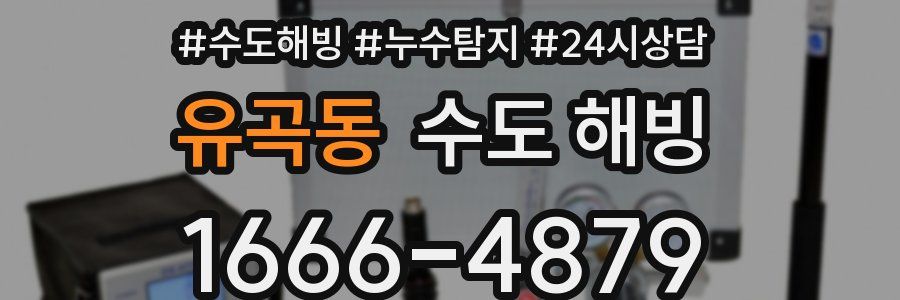 유곡동 수도 해빙