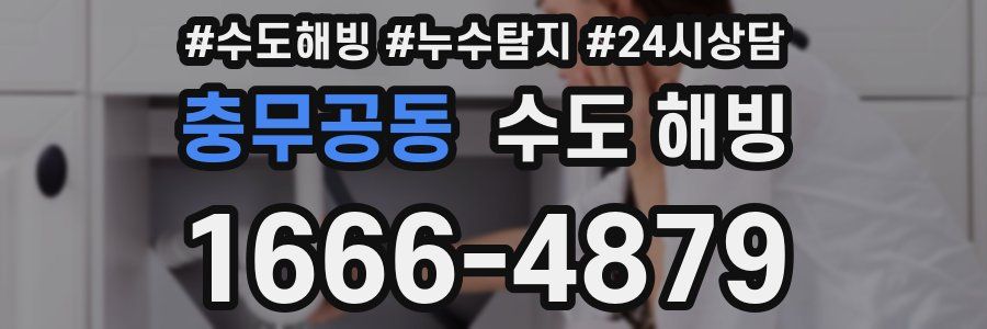 충무공동 수도 해빙