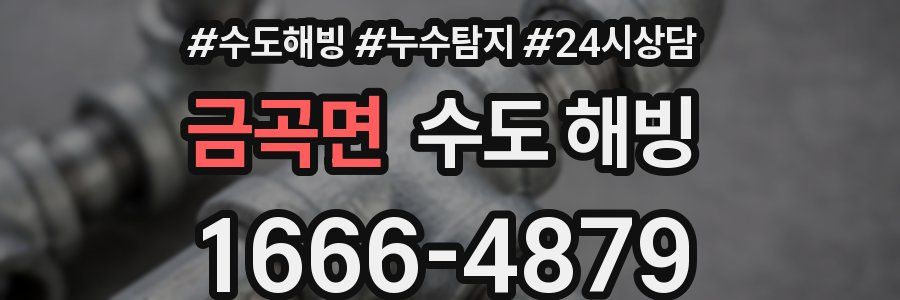 금곡면 수도 해빙