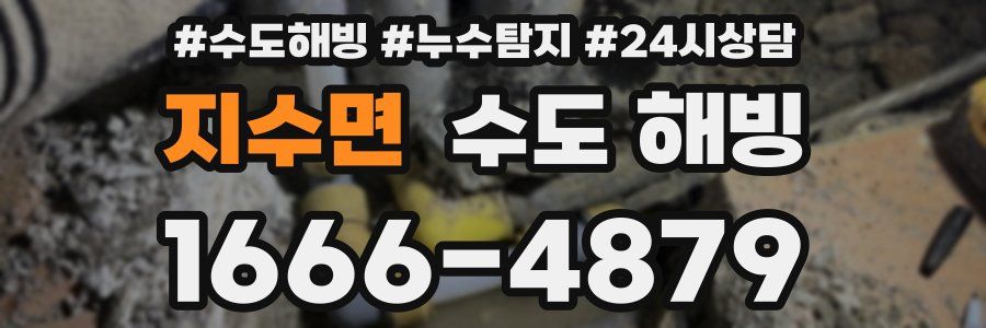 지수면 수도 해빙