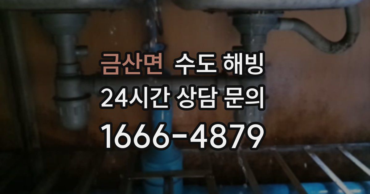 금산면 수도 해빙