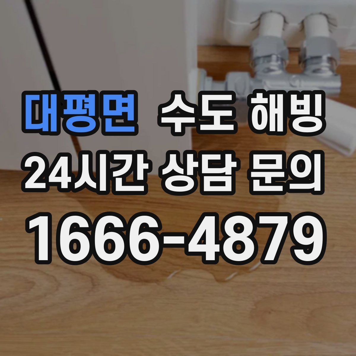 대평면 수도 해빙