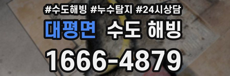 대평면 수도 해빙