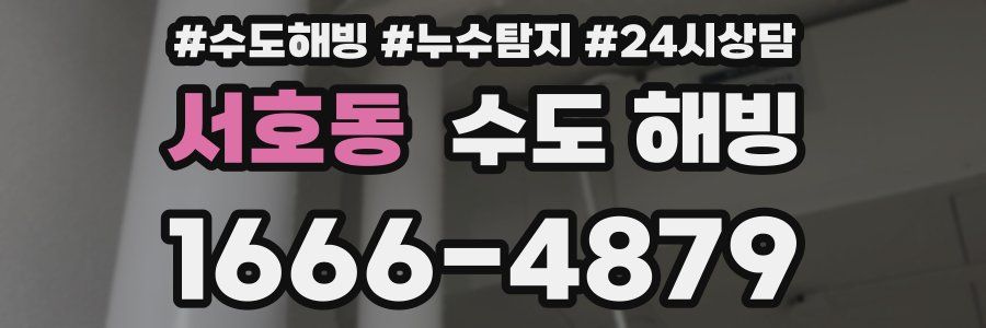 서호동 수도 해빙