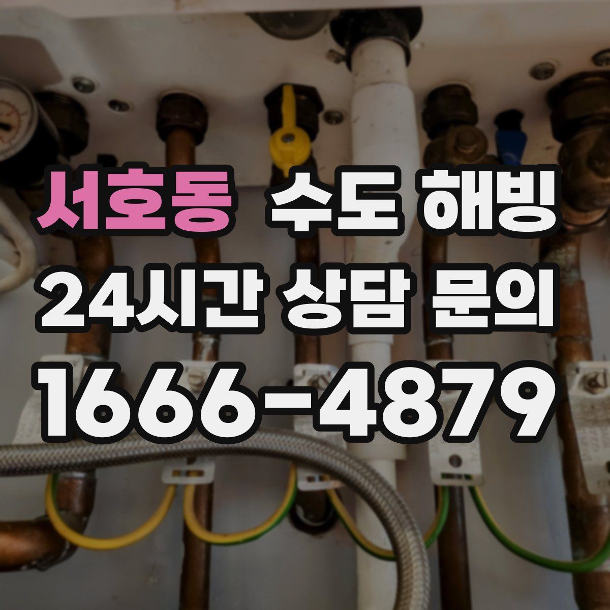 서호동 수도 해빙