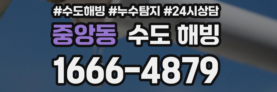 중앙동 수도 해빙