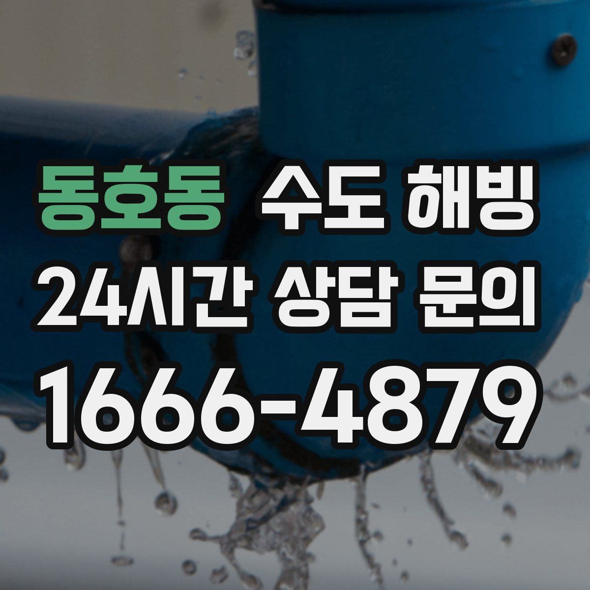 동호동 수도 해빙