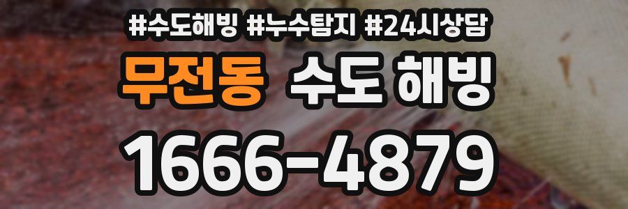 무전동 수도 해빙