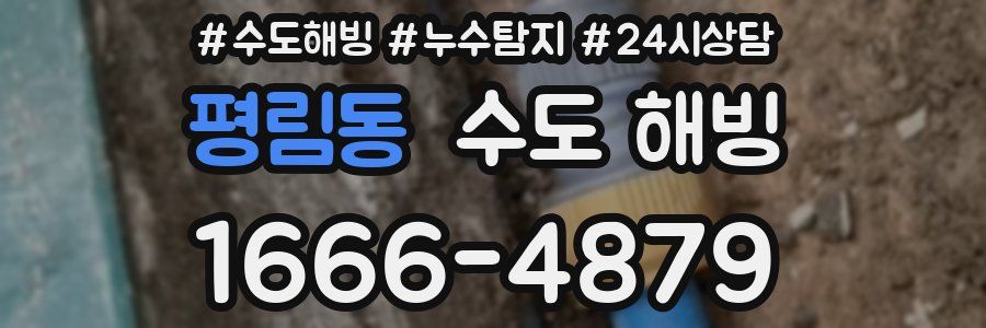 평림동 수도 해빙