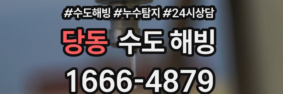 당동 수도 해빙