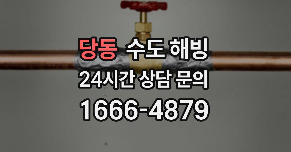 당동 수도 해빙