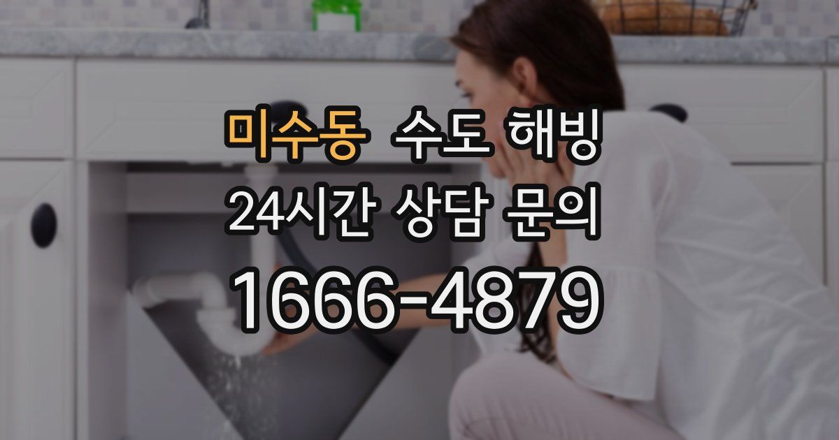 미수동 수도 해빙