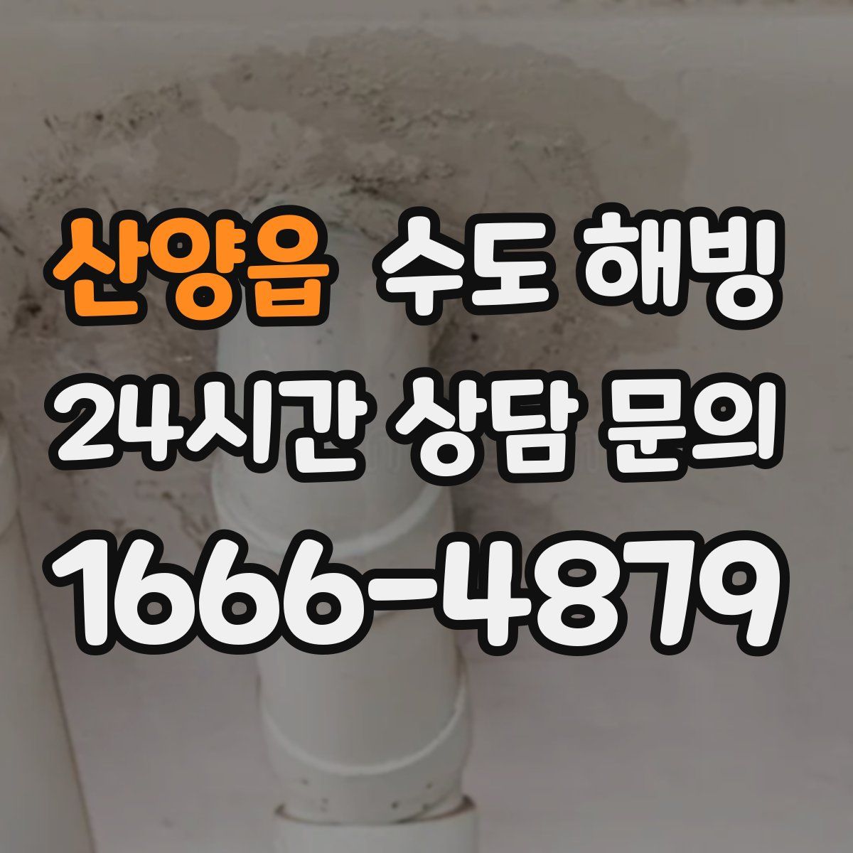 산양읍 수도 해빙