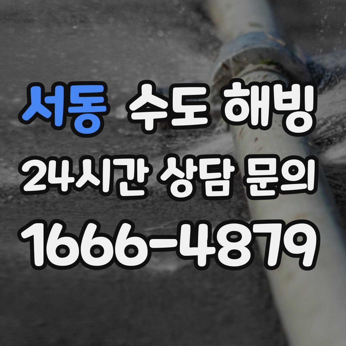 서동 수도 해빙