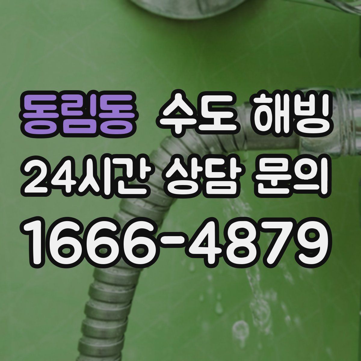 동림동 수도 해빙