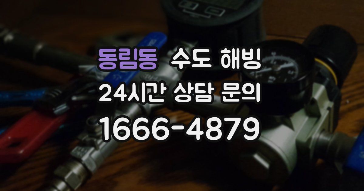 동림동 수도 해빙