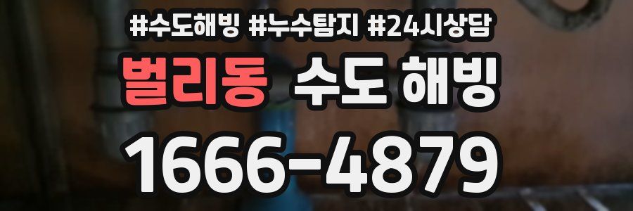벌리동 수도 해빙