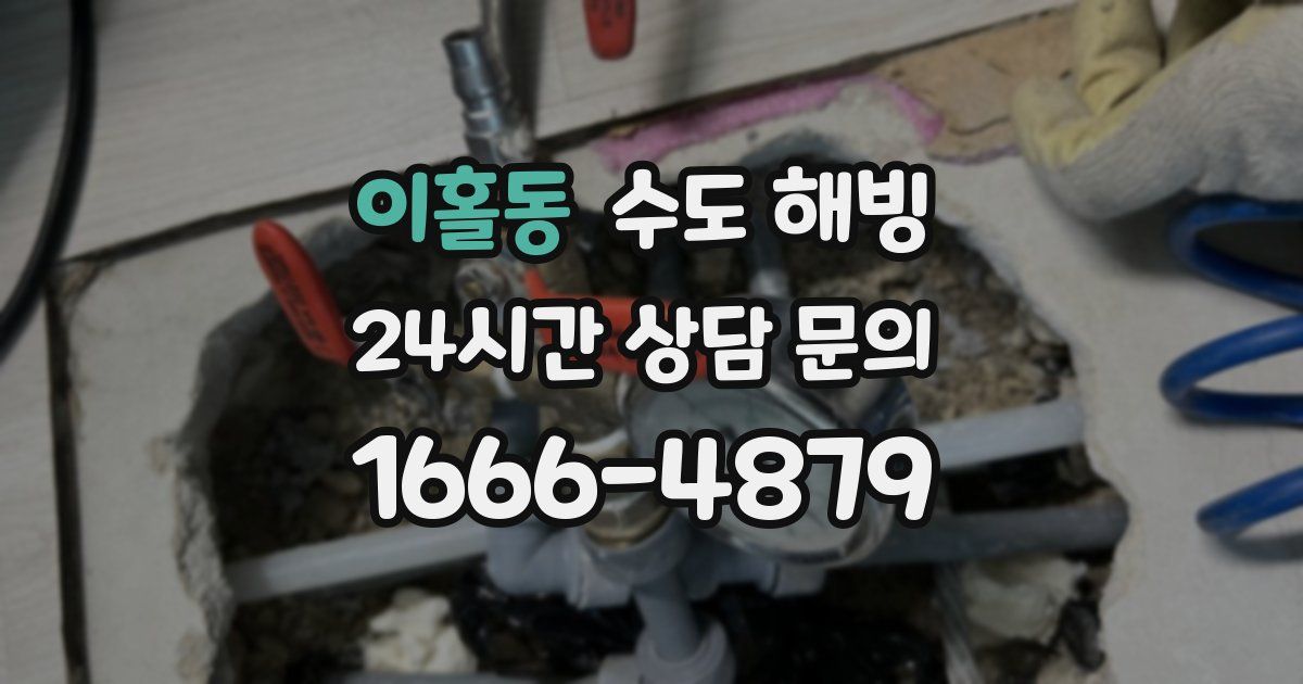 이홀동 수도 해빙