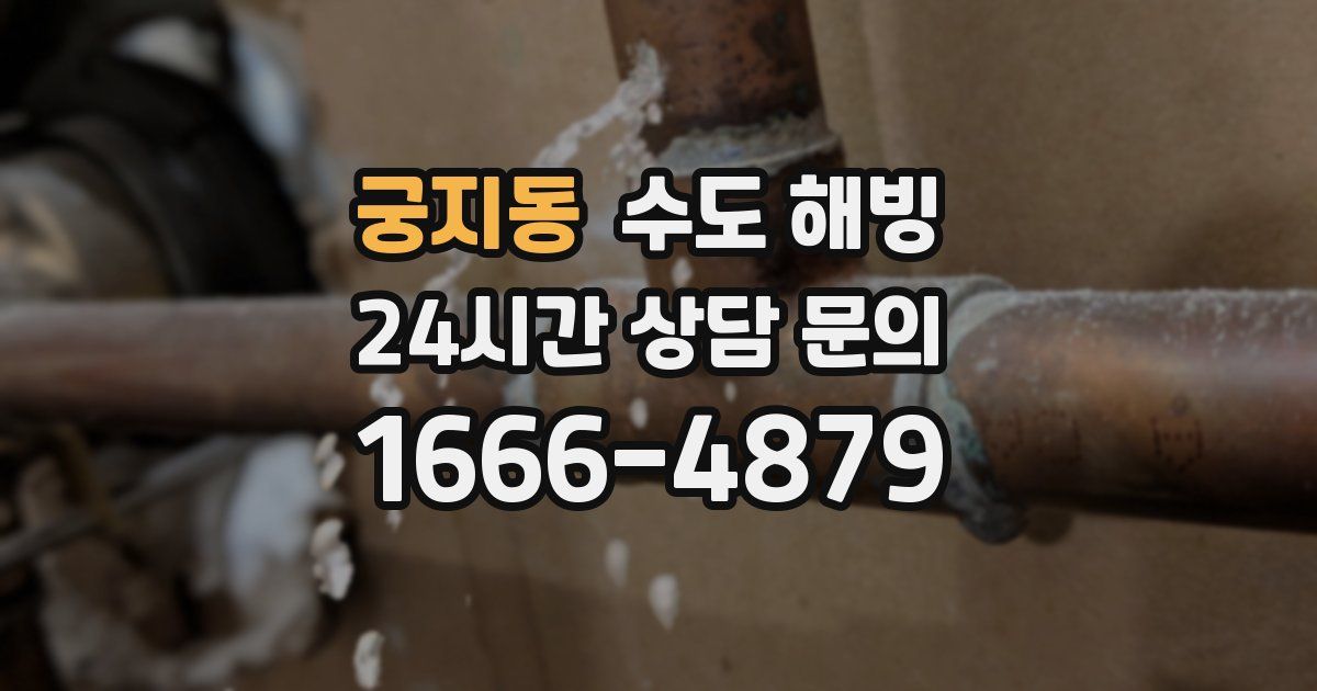 궁지동 수도 해빙