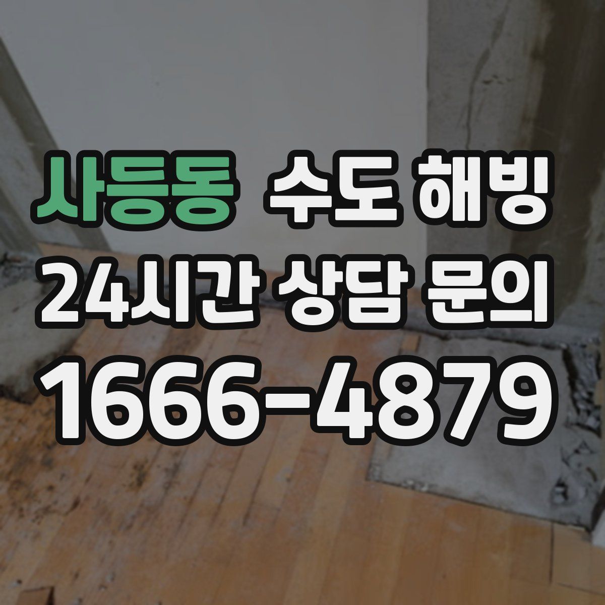 사등동 수도 해빙