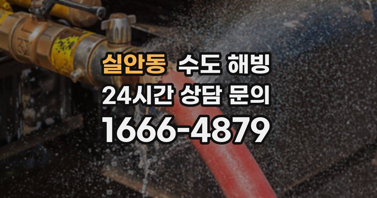 실안동 수도 해빙