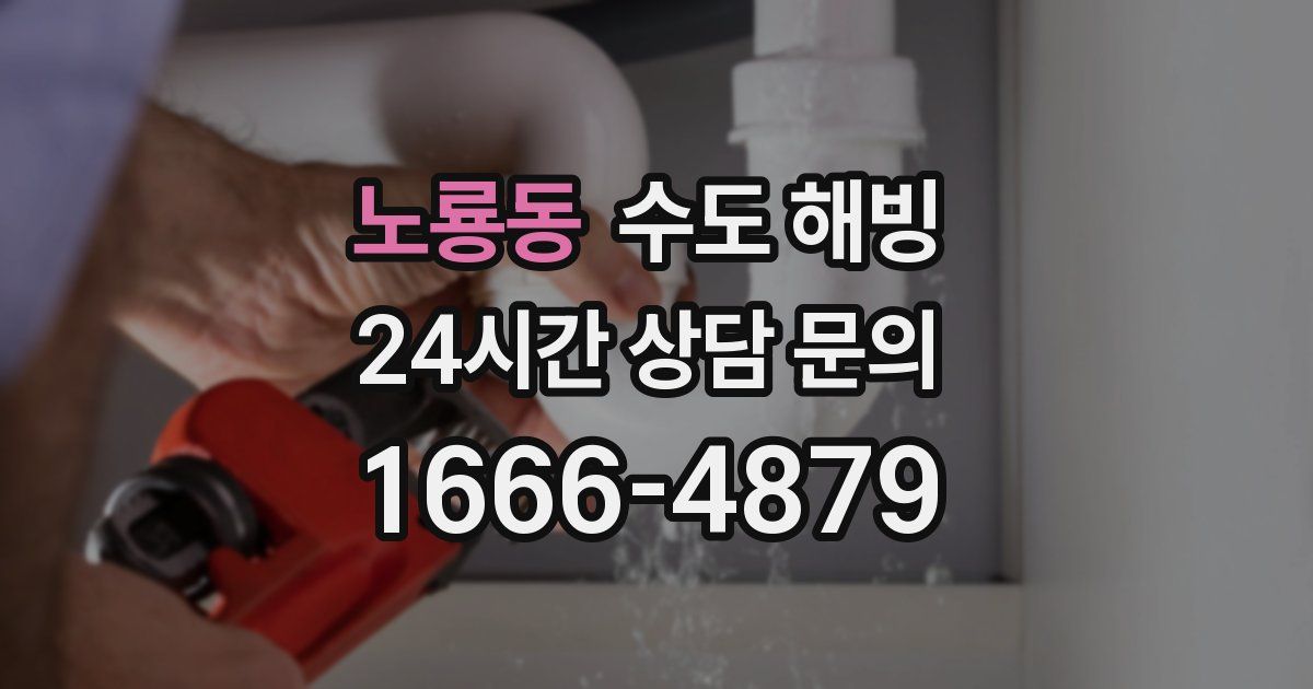 노룡동 수도 해빙