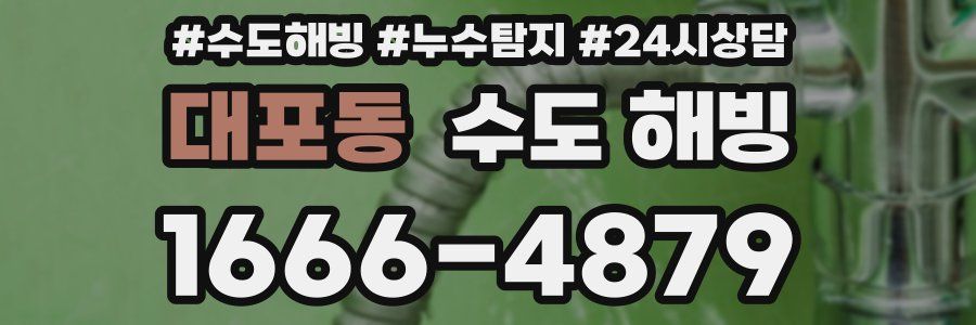 대포동 수도 해빙