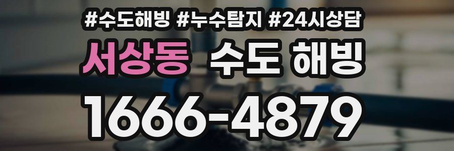 서상동 수도 해빙