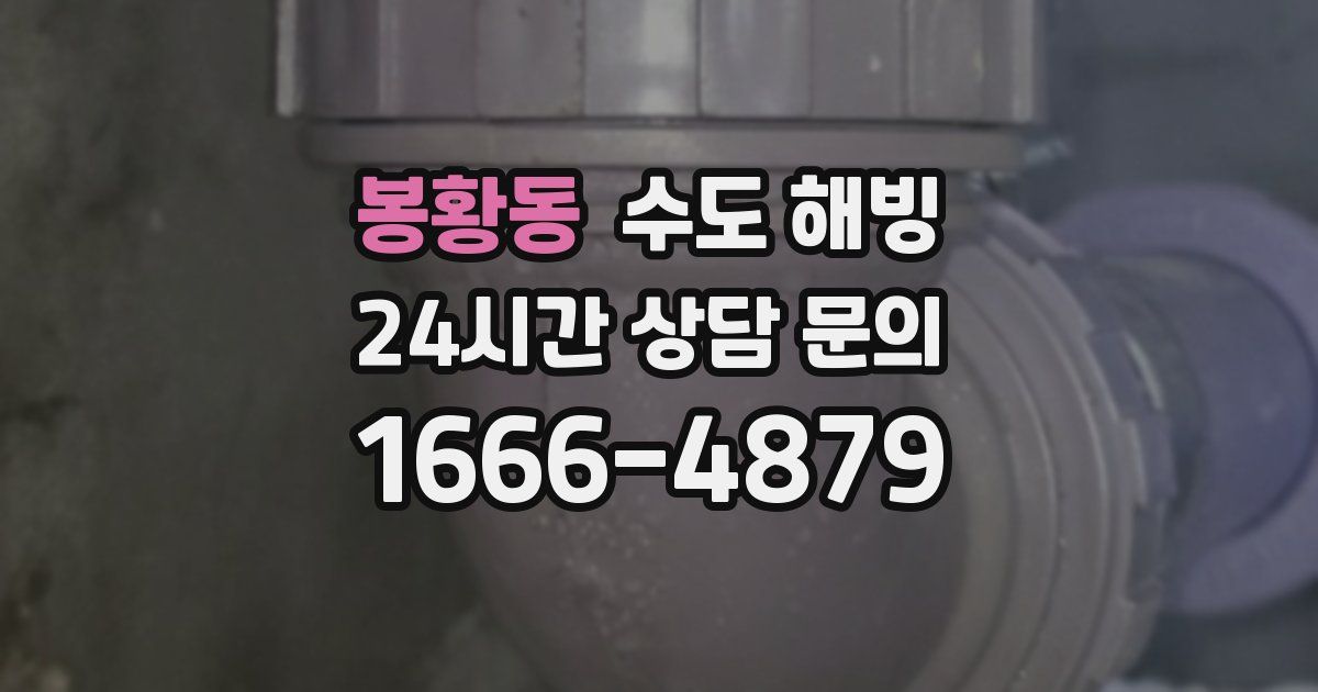 봉황동 수도 해빙