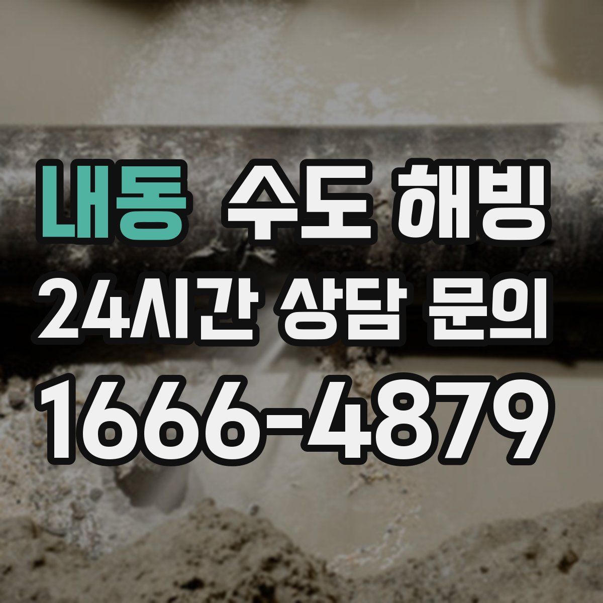 내동 수도 해빙