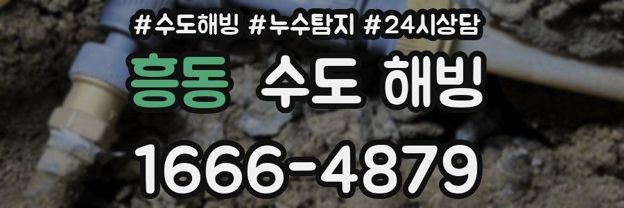 흥동 수도 해빙