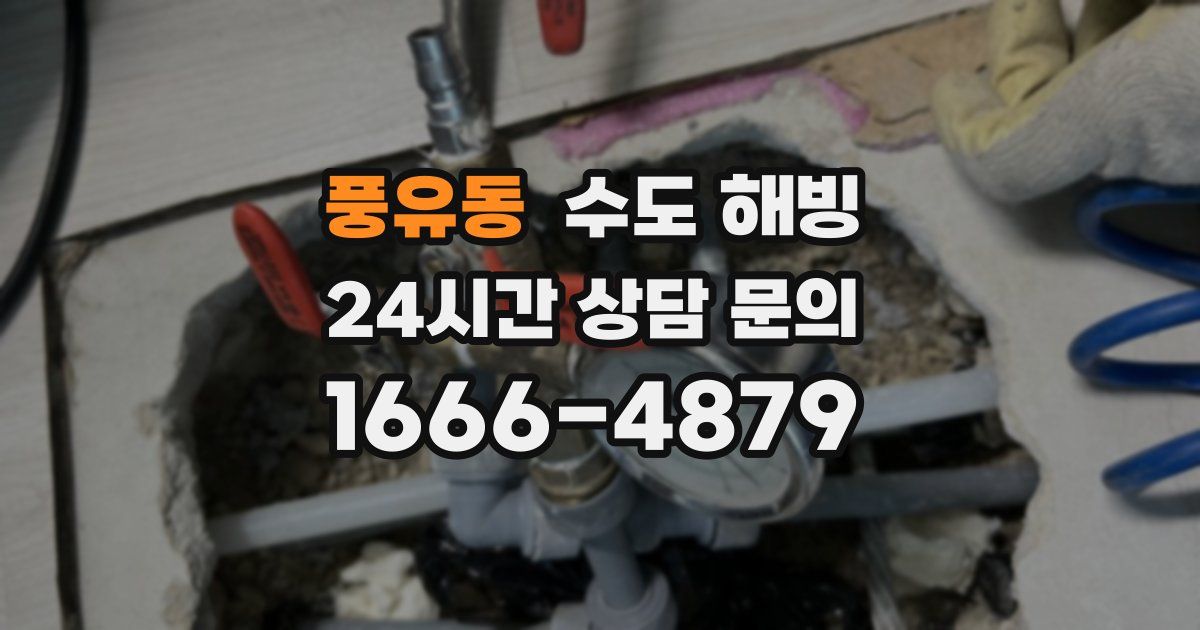 풍유동 수도 해빙