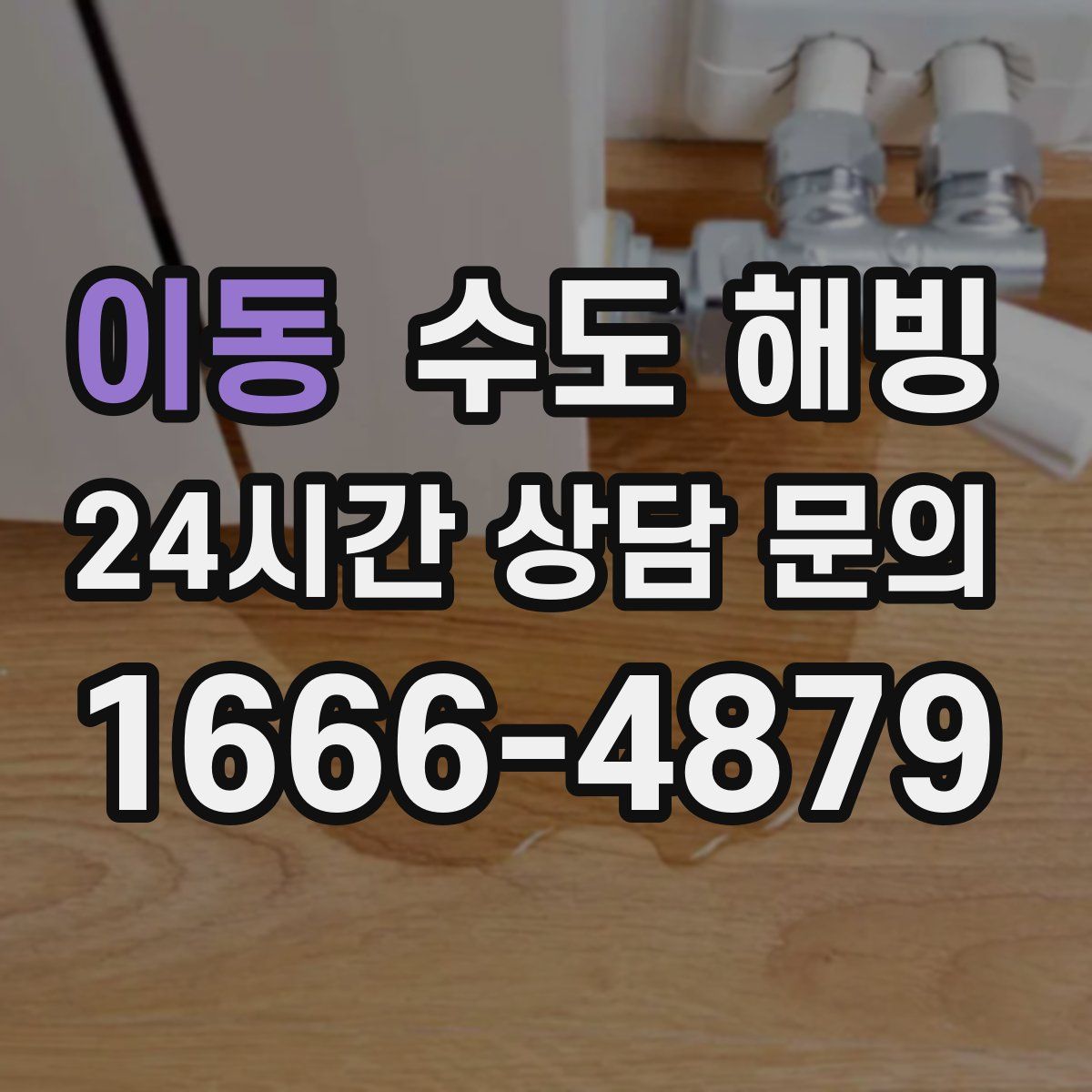 이동 수도 해빙