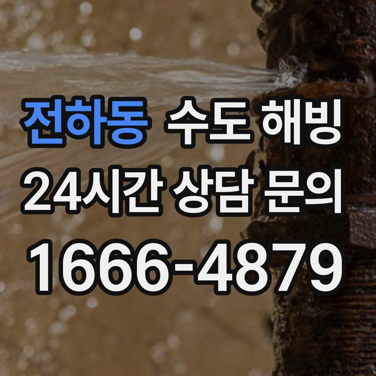 전하동 수도 해빙