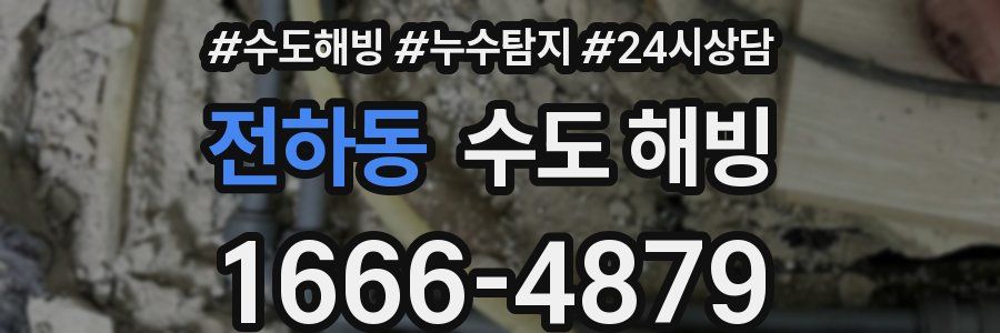 전하동 수도 해빙