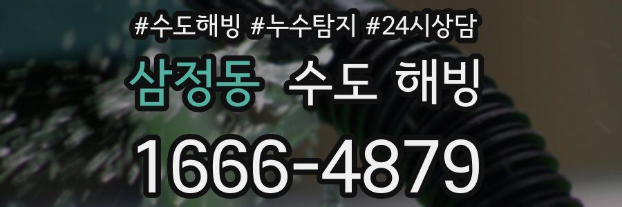 삼정동 수도 해빙