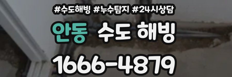 안동 수도 해빙