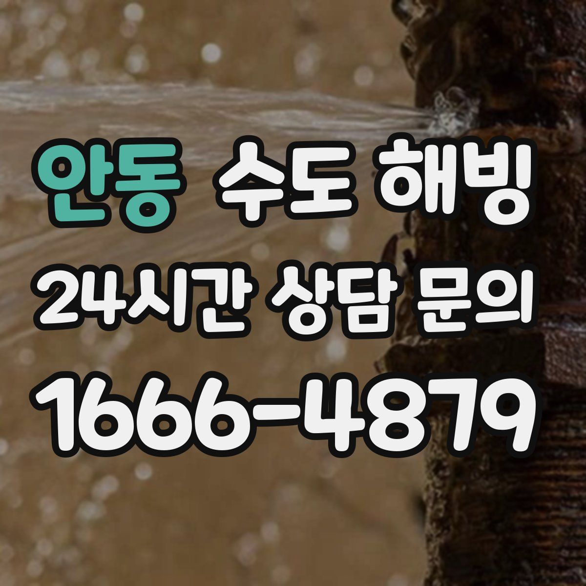 안동 수도 해빙