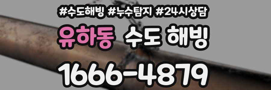 유하동 수도 해빙