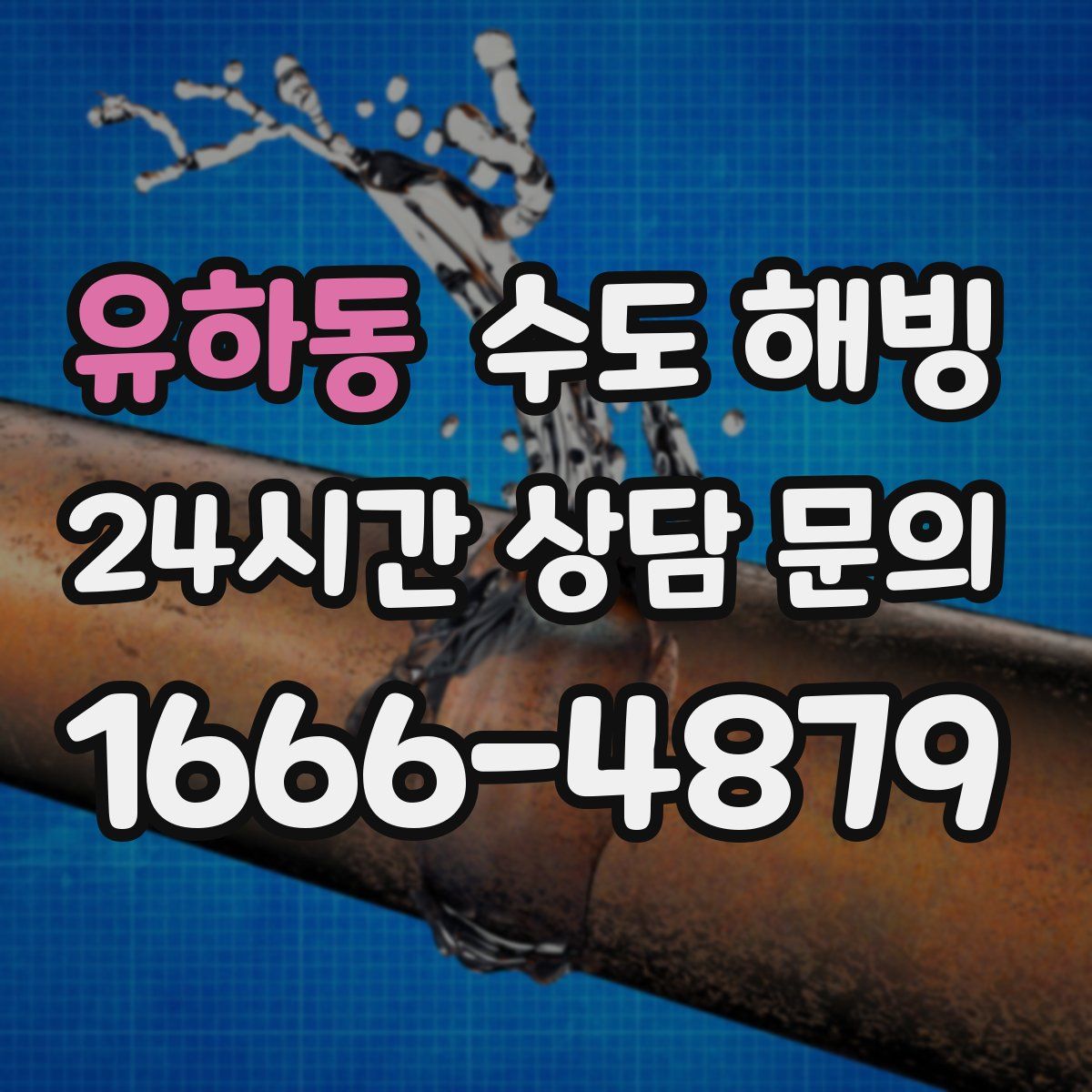 유하동 수도 해빙