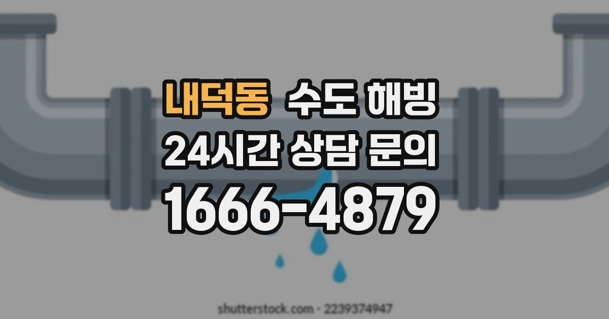 내덕동 수도 해빙