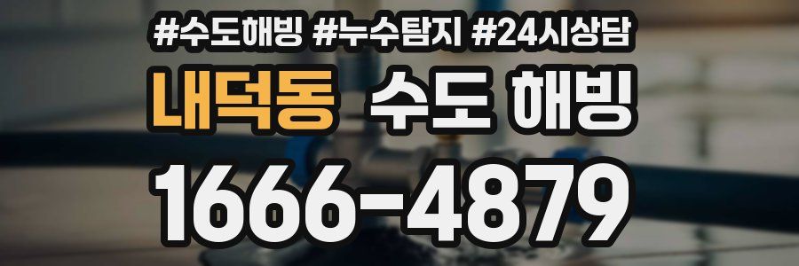 내덕동 수도 해빙
