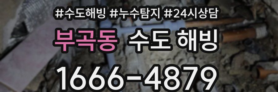 부곡동 수도 해빙