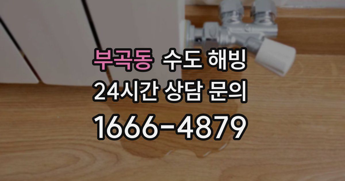 부곡동 수도 해빙