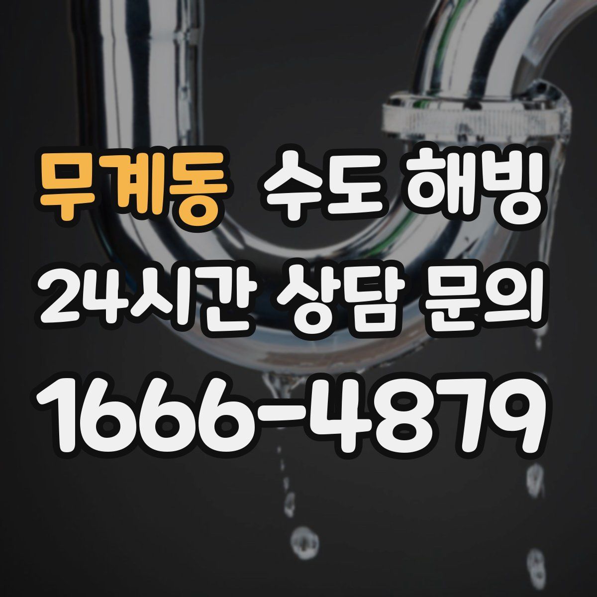 무계동 수도 해빙