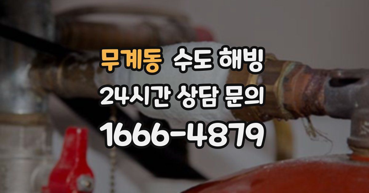 무계동 수도 해빙