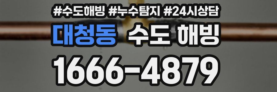 대청동 수도 해빙